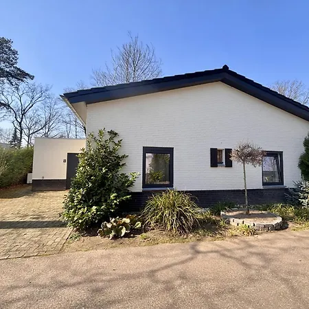 Luxe Recreatiebungalows Midden In Bosrijke Omgeving Noord-brabant *