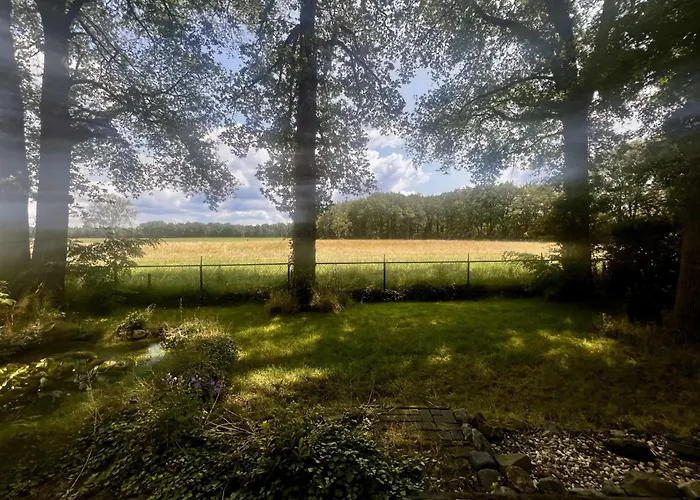 Luxe Recreatiewoningen Midden In Bosrijke Omgeving *