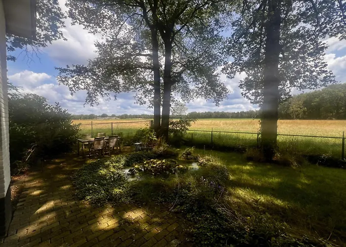 Luxe Recreatiewoningen Midden In Bosrijke Omgeving