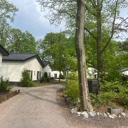 Luxe Recreatiebungalows Midden In Bosrijke Omgeving Noord-brabant Waalre