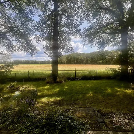 Luxe Recreatiewoningen Midden In Bosrijke Omgeving *