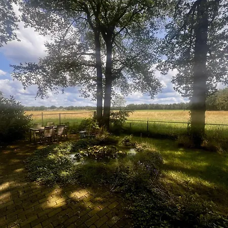 Luxe Recreatiewoningen Midden In Bosrijke Omgeving