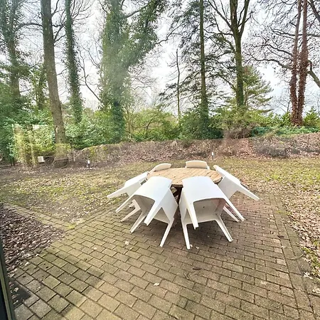 Luxe Recreatiebungalows Midden In Bosrijke Omgeving Noord-brabant