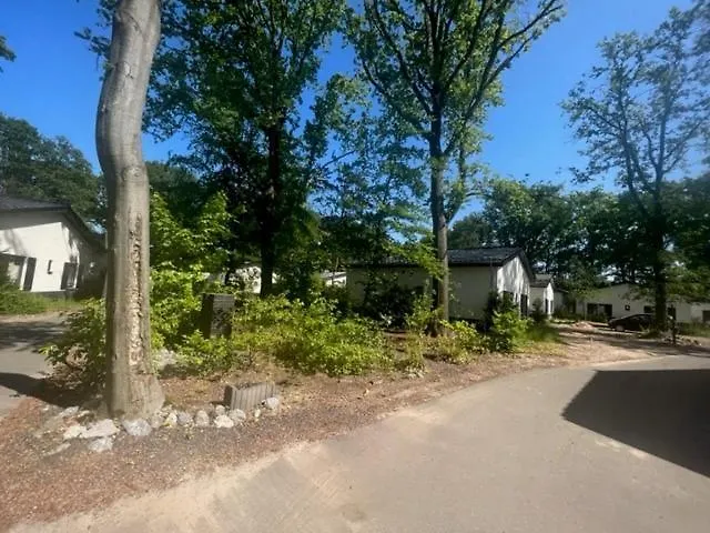 בית נופש Luxe Recreatiewoningen Midden In Bosrijke Omgeving *