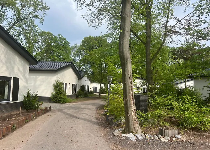 Luxe Recreatiewoningen Midden In Bosrijke Omgeving Waalre